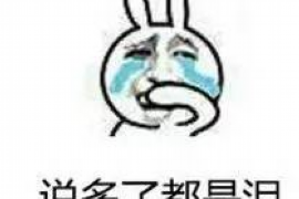 桦甸要账公司更多成功案例详情